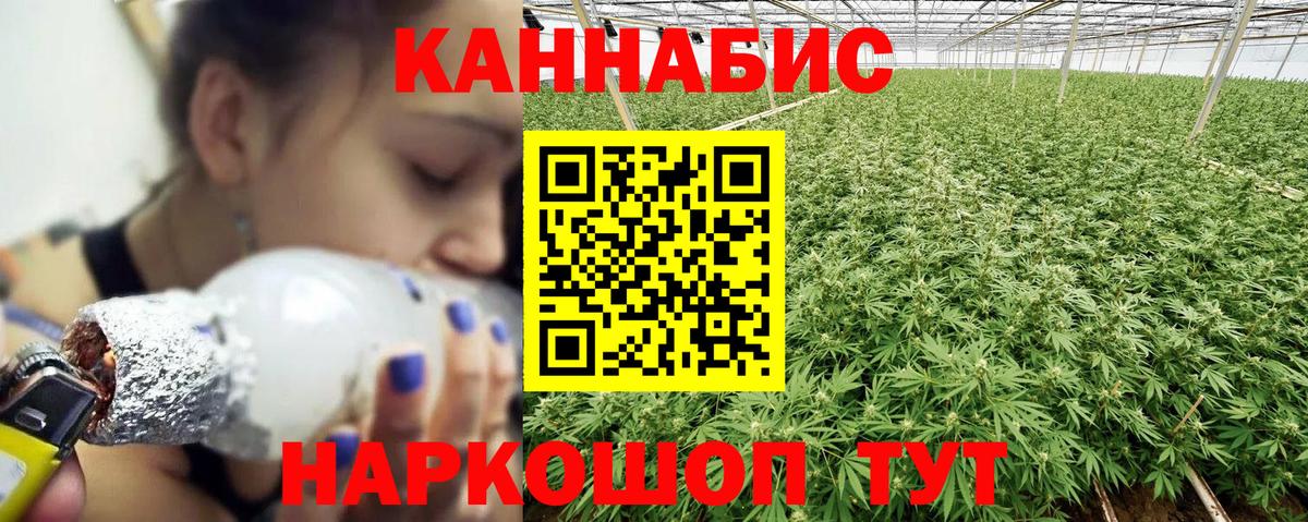Бошки Шишки конопля Асино